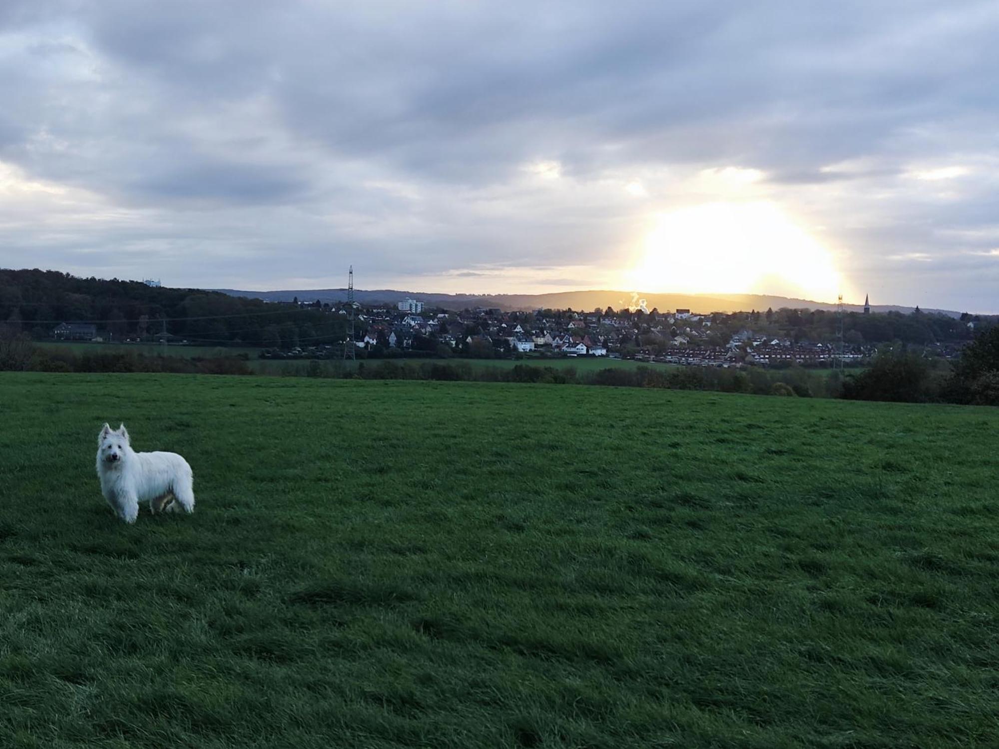 Gruene Oase Nr.2, Nahe Uni Und Technologie Quartier Daire Bochum Dış mekan fotoğraf