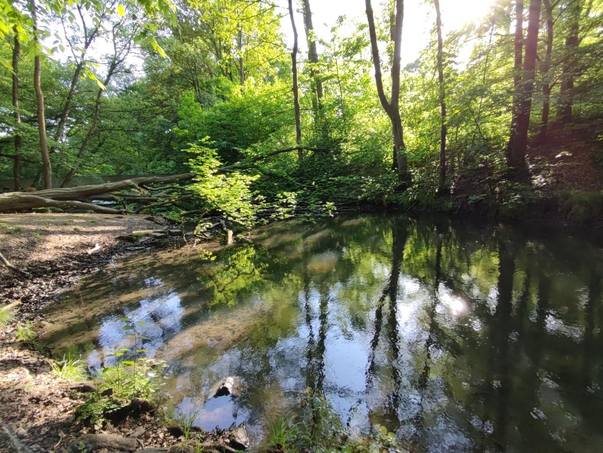 Gruene Oase Nr.2, Nahe Uni Und Technologie Quartier Daire Bochum Dış mekan fotoğraf