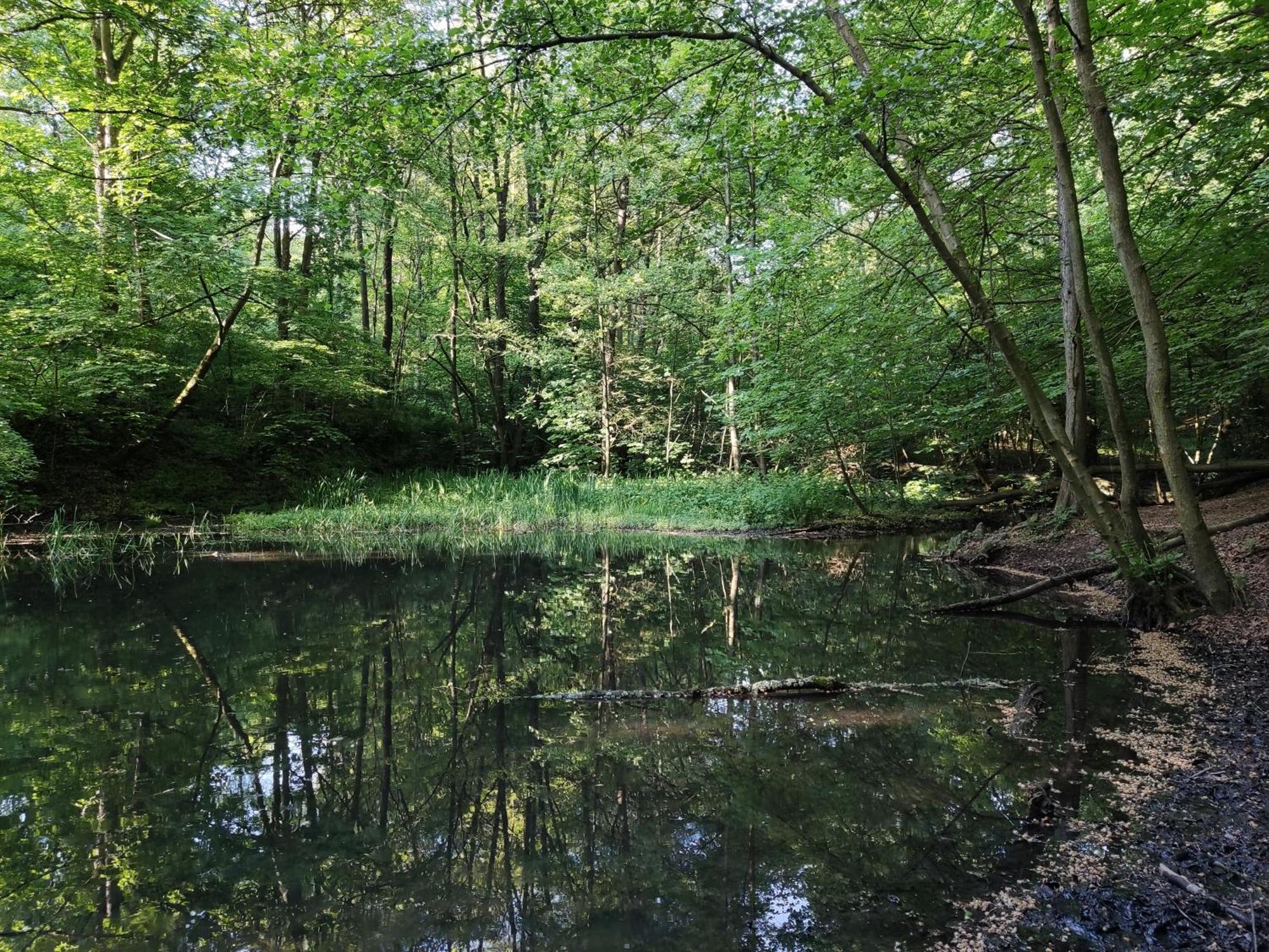 Gruene Oase Nr.2, Nahe Uni Und Technologie Quartier Daire Bochum Dış mekan fotoğraf